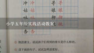 小学5年级实践活动教案