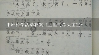 中班科学活动教案《土里的蒜头宝宝》