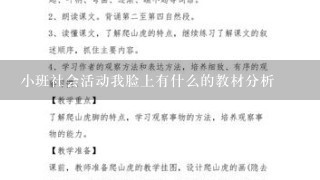 小班社会活动我脸上有什么的教材分析