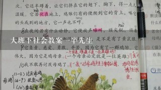 大班下社会教案1半先生