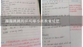 蹦蹦跳跳的乒乓球小班教案反思