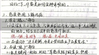 不同国家和民族的文字及相关的图片资料