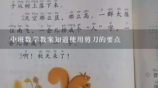 中班数学教案知道使用剪刀的要点