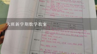 大班新学期数学教案