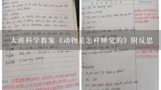 大班科学教案《动物是怎样睡觉的》附反思