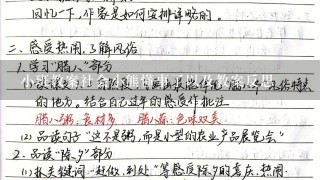 小班教案社会小熊懂事了以及教案反思