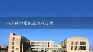 小班科学常识冻冰花反思