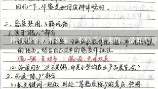 谁有小学美术教案？不要手工课的，最好是详案```急用谢谢！