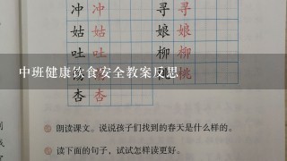 中班健康饮食安全教案反思