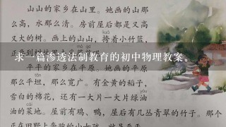 求1篇渗透法制教育的初中物理教案。