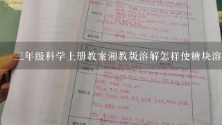 3年级科学上册教案湘教版溶解怎样使糖块溶解得快