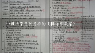 中班科学各种各样的飞机详细教案？