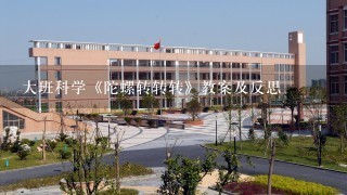 大班科学《陀螺转转转》教案及反思