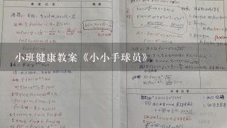 小班健康教案《小小手球员》