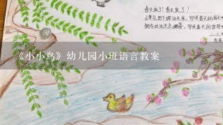 《小小鸟》幼儿园小班语言教案