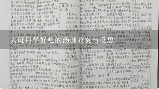 大班科学好吃的汤圆教案与反思