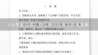 《小黑捉迷藏》幼儿园小班语言游戏教案