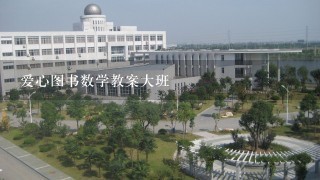 爱心图书数学教案大班