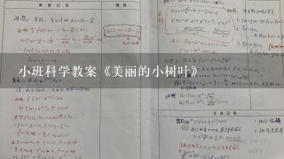 小班科学教案《美丽的小树叶》