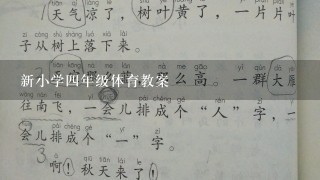 新小学4年级体育教案