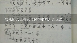 幼儿园大班教案《保护眼睛》含反思