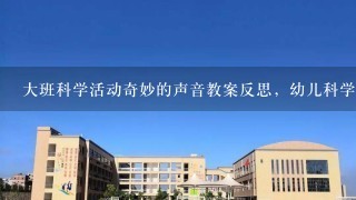 大班科学活动奇妙的声音教案反思，幼儿科学教案大班