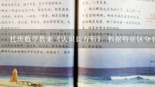 托班数学教案《认识长方形》 根据特征区分长方形和正方形