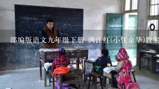 部编版语文9年级下册 满江红(小住京华)教案教学设计1