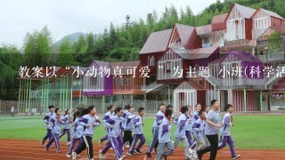 教案以“小动物真可爱 ”为主题 小班(科学活动)