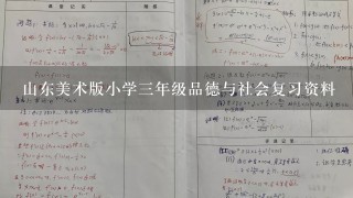 山东美术版小学3年级品德与社会复习资料