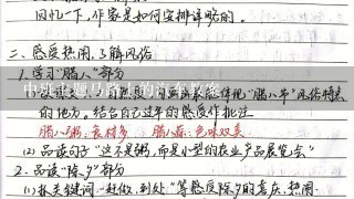 中班主题马路上的汽车教案