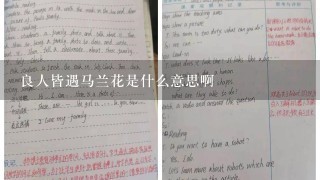 良人皆遇马兰花是什么意思啊