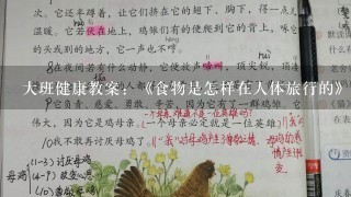 大班健康教案：《食物是怎样在人体旅行的》