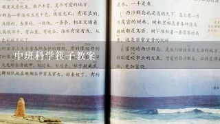 中班科学筷子教案