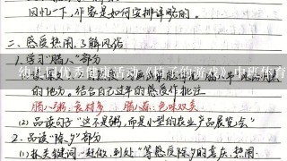 幼儿园优秀健康活动《椅子的游戏》中班体育游戏教案