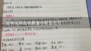 宝贝宝贝音乐教案小班怎么写