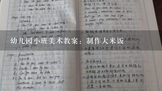 幼儿园小班美术教案：制作大米饭