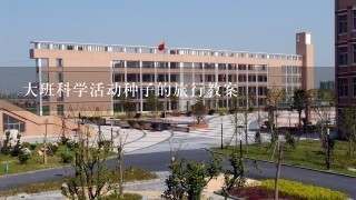 大班科学活动种子的旅行教案