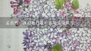 孟浩然巜夜归鹿门歌》名句情境默写？