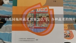 幼儿园拖班蔬菜教案怎么写，各种蔬菜的图片