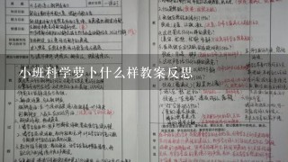 小班科学萝卜什么样教案反思