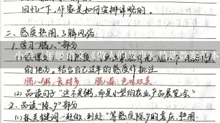 小学2年级语文《做人的故事》精选教案范本