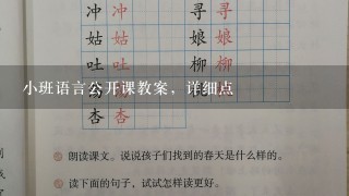 小班语言公开课教案，详细点