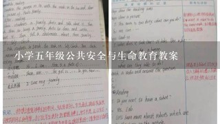 小学5年级公共安全与生命教育教案