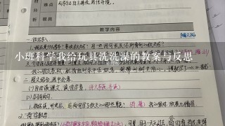 小班科学我给玩具洗洗澡的教案与反思