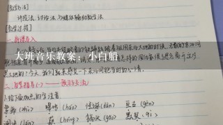 大班音乐教案：小白船