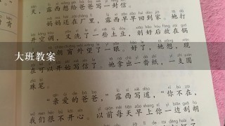 大班教案