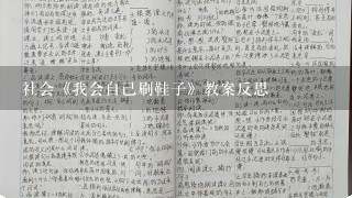 社会《我会自己刷鞋子》教案反思