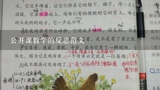 公开课教学的反思范文