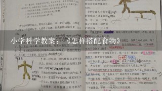 小学科学教案：《怎样搭配食物》